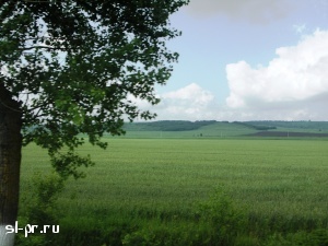 Село Киевское в Крымском районе