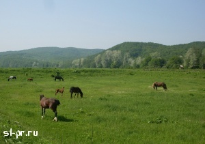 Село Фанагорийское в Горячеключевском районе